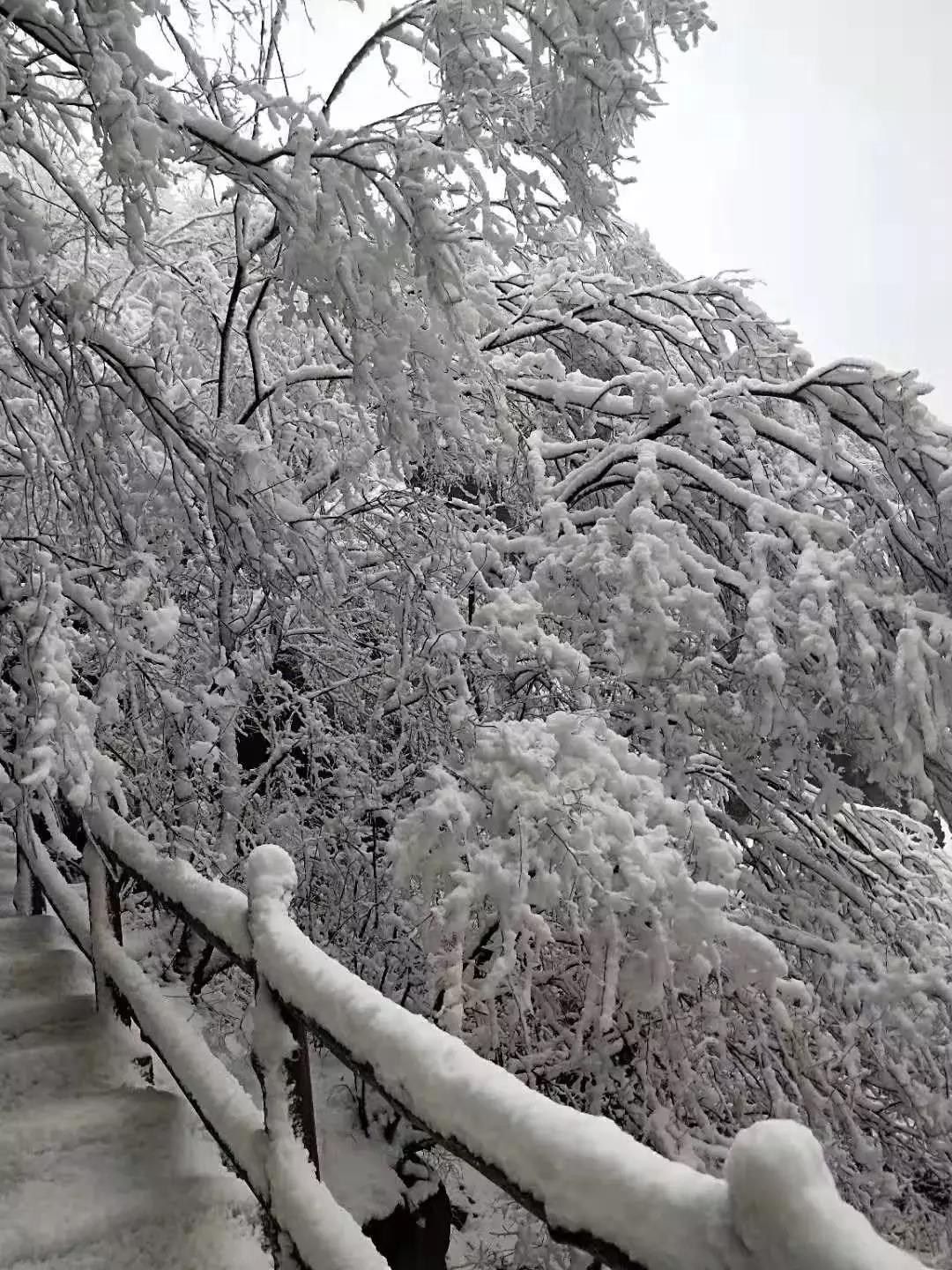 你那里下雪了吗？