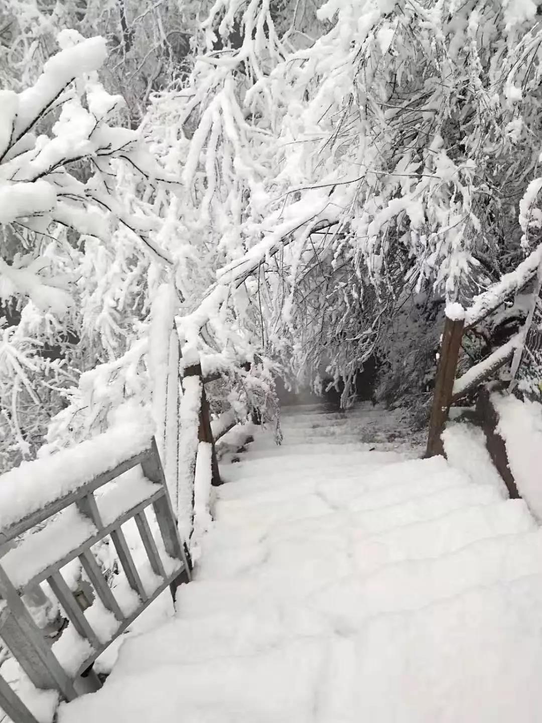 你那里下雪了吗？