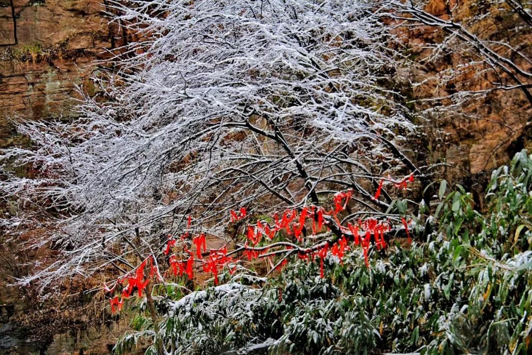 2020年的第一场雪，打卡洛阳龙潭大峡谷！！