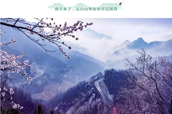 【公告】云台山景区2月28日起恢复开放！