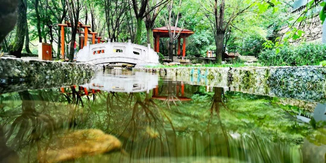 天河大峡谷景区恢复开放！春暖花开，静待君来！