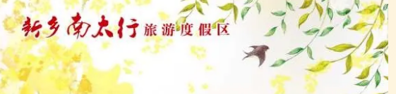 风雨压不跨，危难中开花，新乡南太行的春天来了！