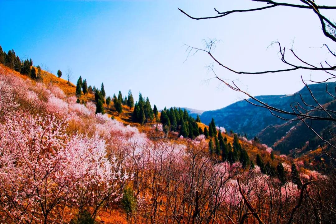 【公告】鹤壁云梦山景区3月12日起恢复开放！