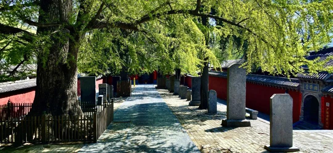 少林寺里的“龙生九子”