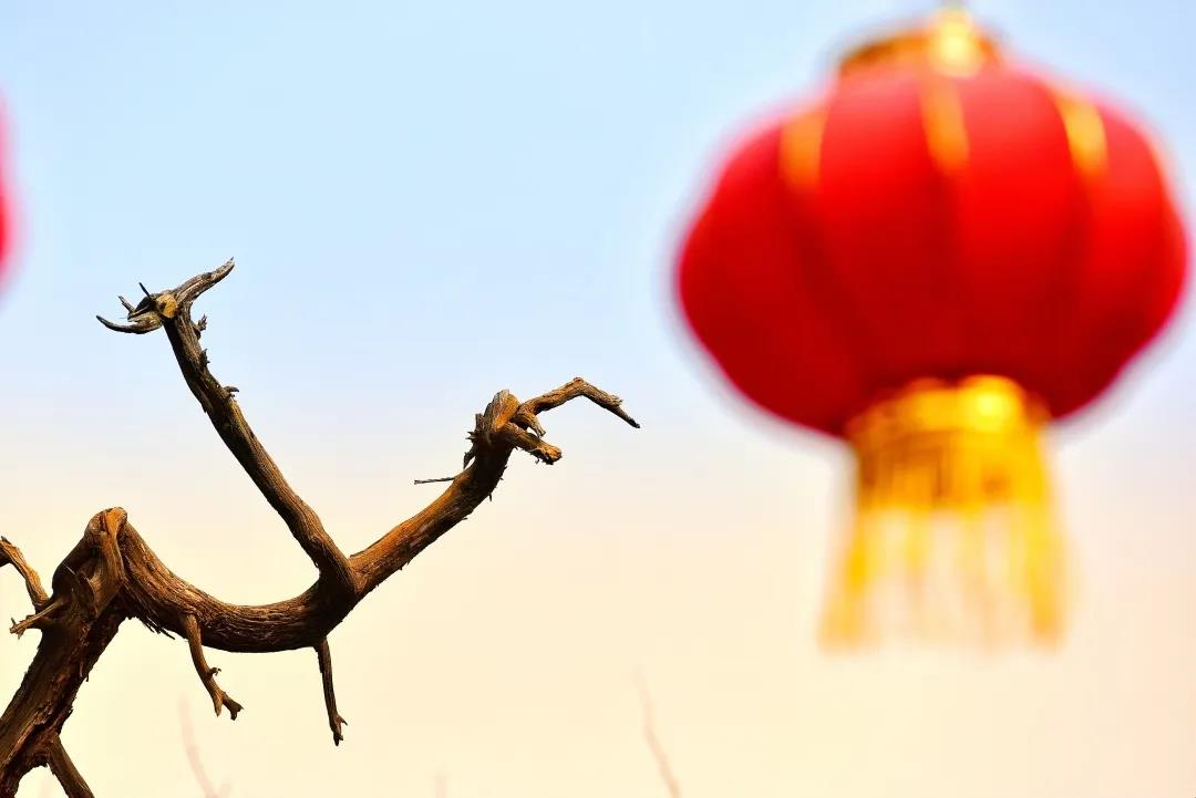 太昊陵开园寄语：好久不见，别来无恙