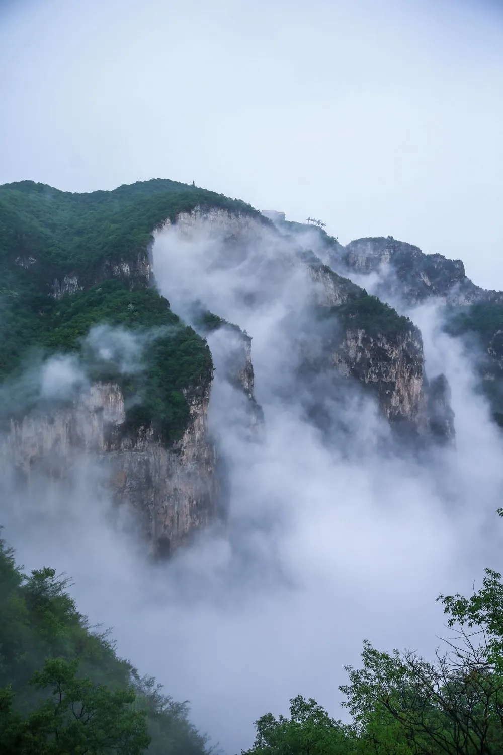 云台山持续云海奇观！美若仙境！