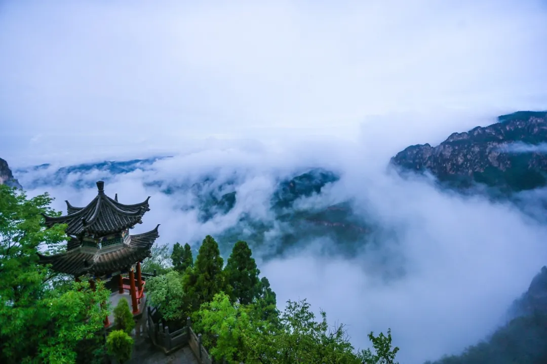 云台山持续云海奇观！美若仙境！