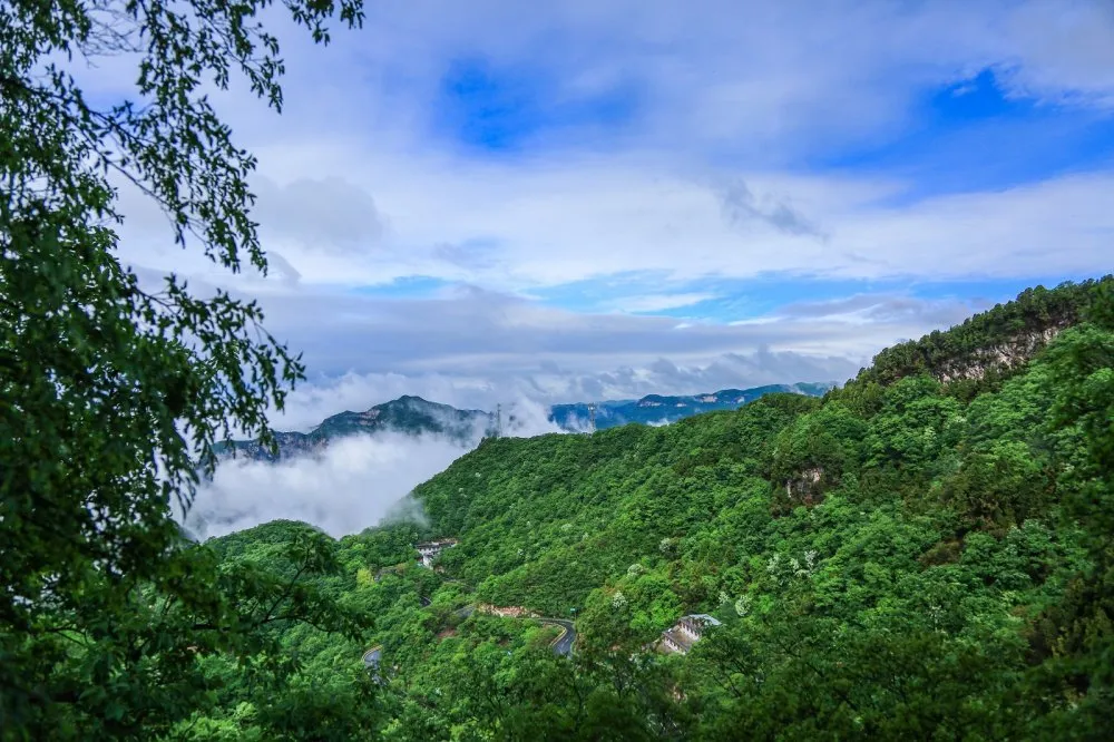 云台山持续云海奇观！美若仙境！