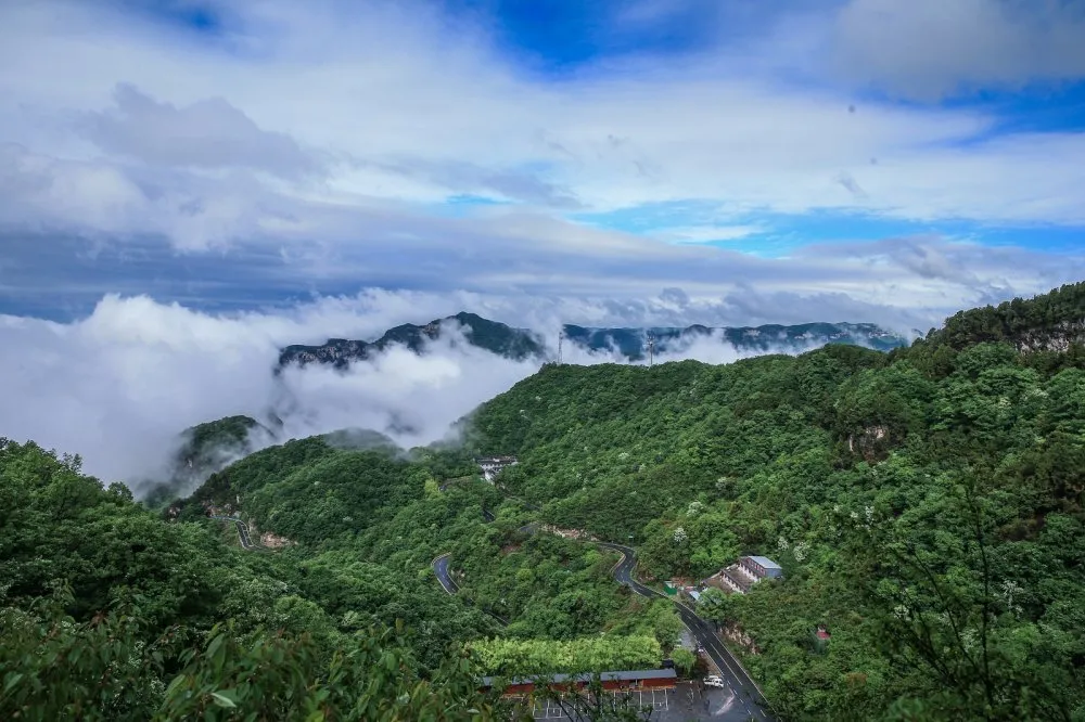 云台山持续云海奇观！美若仙境！
