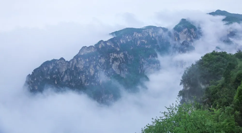 云台山持续云海奇观！美若仙境！
