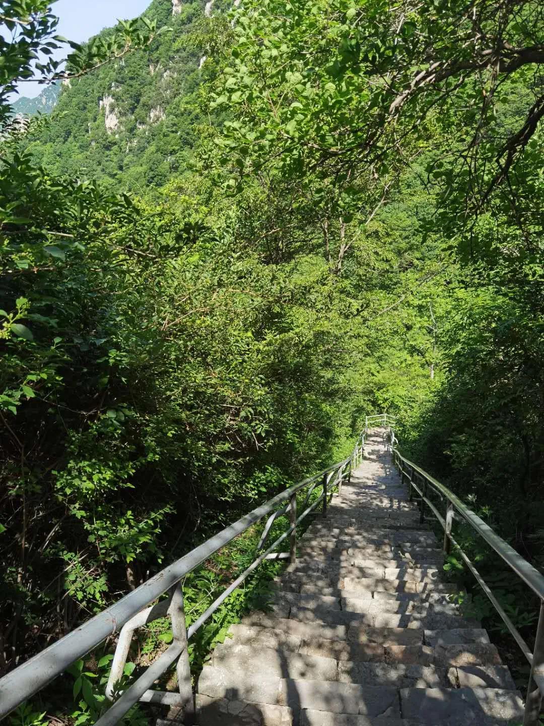 “老家河南 夏爽中原”开启！中岳嵩山等您来打卡！