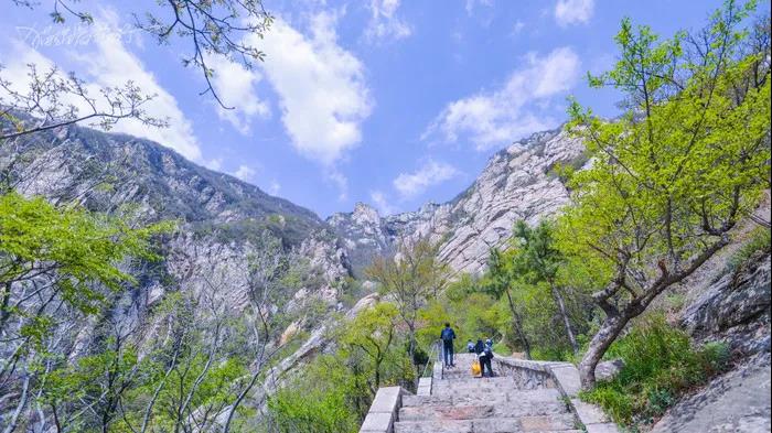 “老家河南 夏爽中原”开启！中岳嵩山等您来打卡！