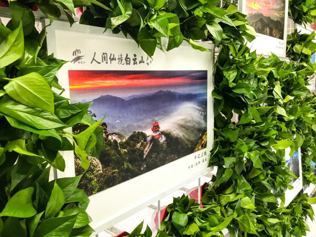 “守护绿色 佑护健康”洛阳白云山生态摄影大展启动仪式在郑州举办