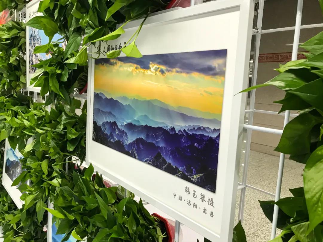 “守护绿色 佑护健康”洛阳白云山生态摄影大展启动仪式在郑州举办