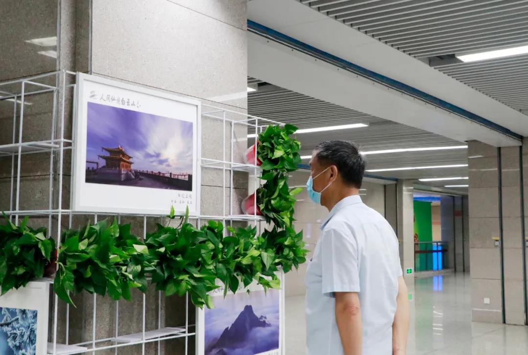 “守护绿色 佑护健康”洛阳白云山生态摄影大展启动仪式在郑州举办