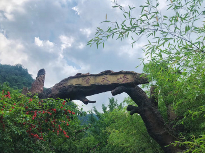 走进南召宝天曼景区 ，体验山水之魅，冲浪之旅！