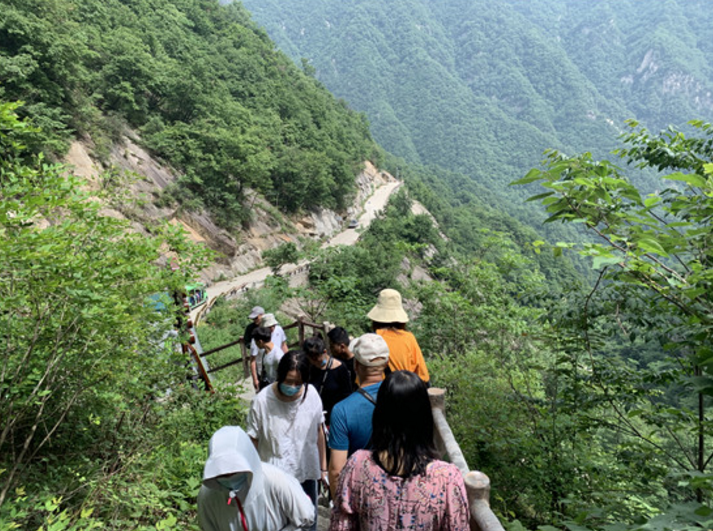 走进南召宝天曼景区 ，体验山水之魅，冲浪之旅！