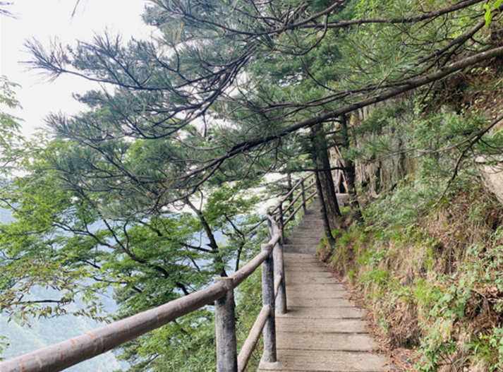 走进南召宝天曼景区 ，体验山水之魅，冲浪之旅！