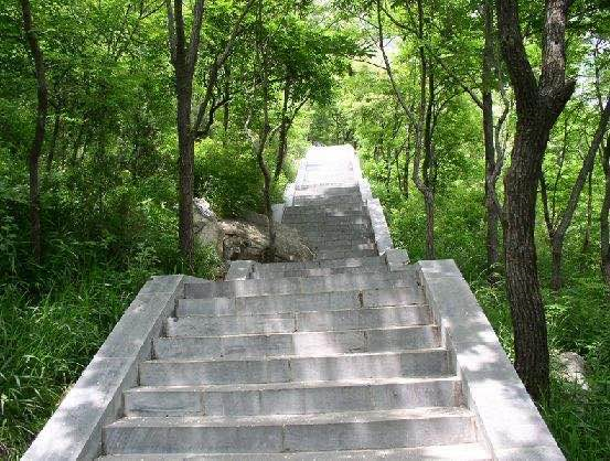 持续高温来袭，避暑首选嵩山