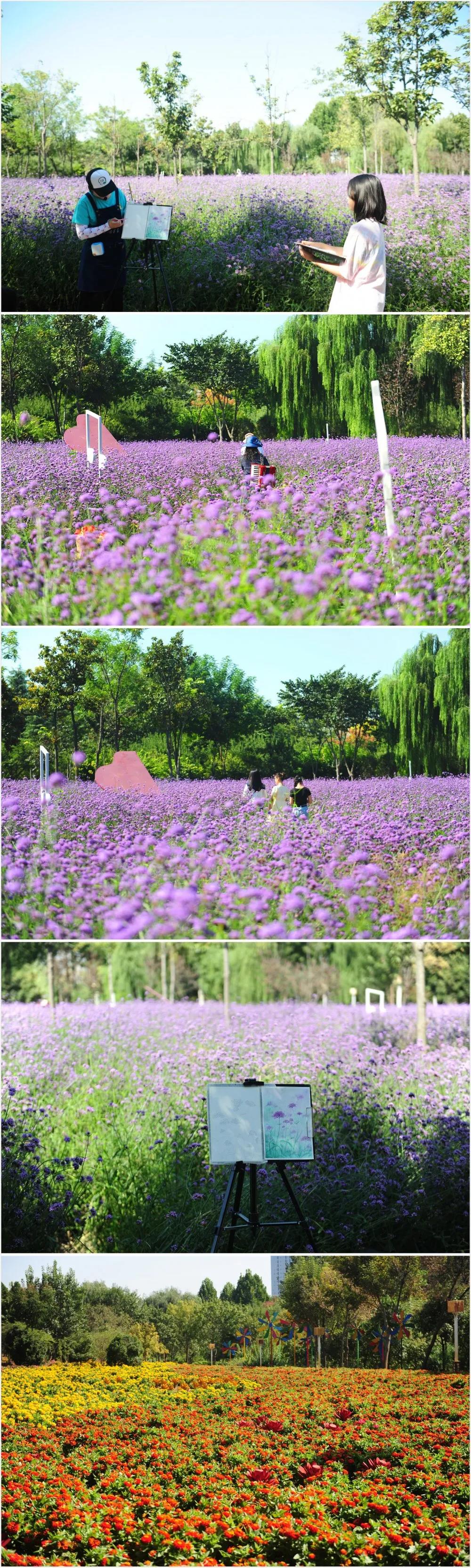 赏花赏民俗，绿博园盛装迎双节