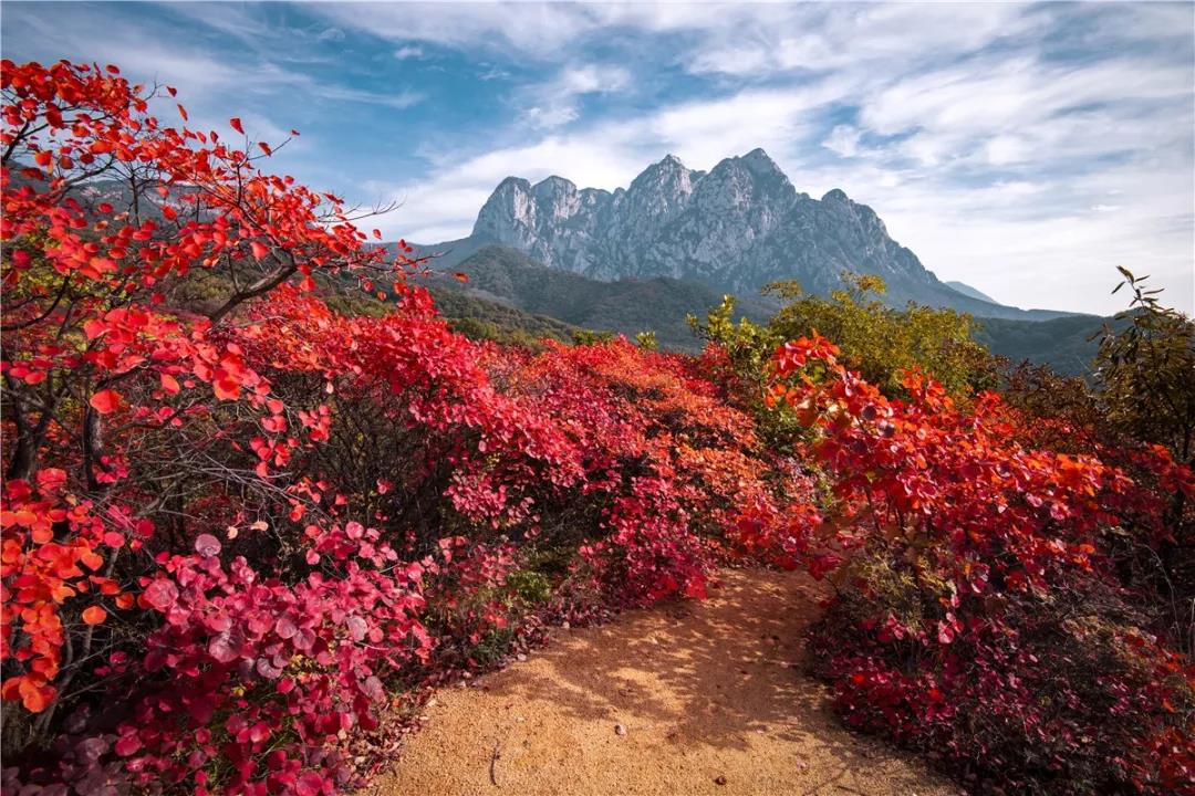 与秋色渲染的嵩山，来一次最美好的相遇