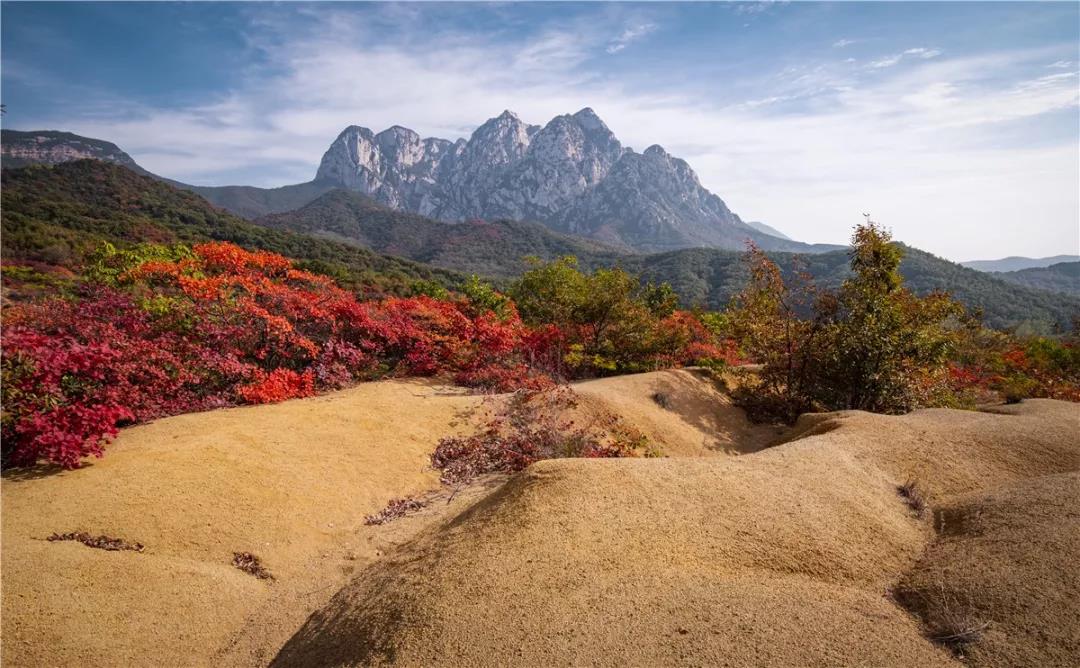 与秋色渲染的嵩山，来一次最美好的相遇