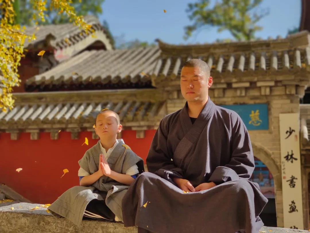 你知道嵩山脚下有多少棵千年银杏树吗？