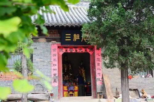 你知道嵩山脚下有多少棵千年银杏树吗？