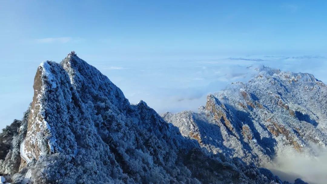 除雪送姜汤，寒冬暖人心