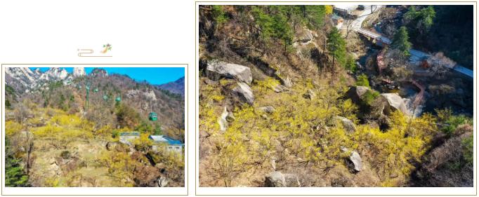 天河大峡谷女神节福利到：女士免门票！男士半价！