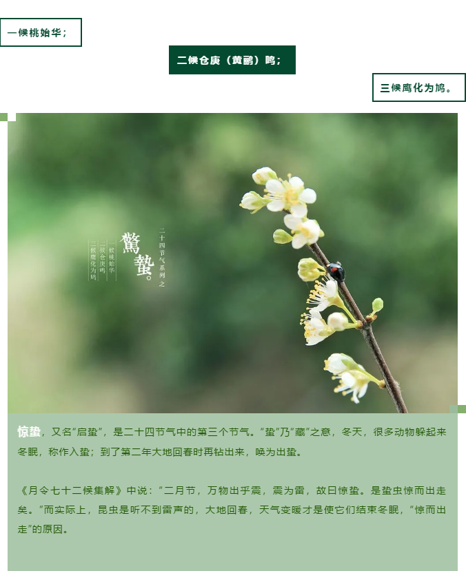 惊蛰前后，这里有你从没见过的春天~