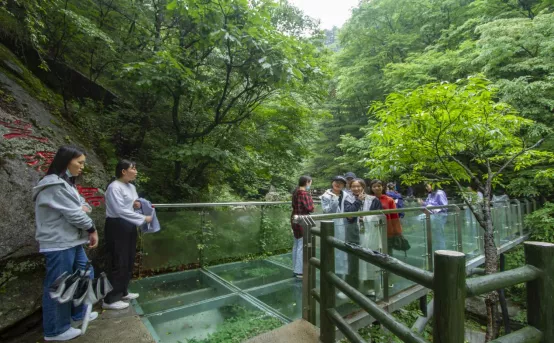 “自驾狂欢 星宿森林 ”住帐篷游客可自驾进入景区让您爽朗无比