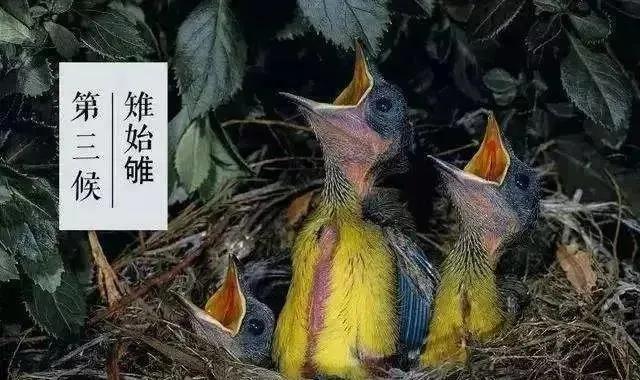 小寒|愿你三冬暖，许你春不寒