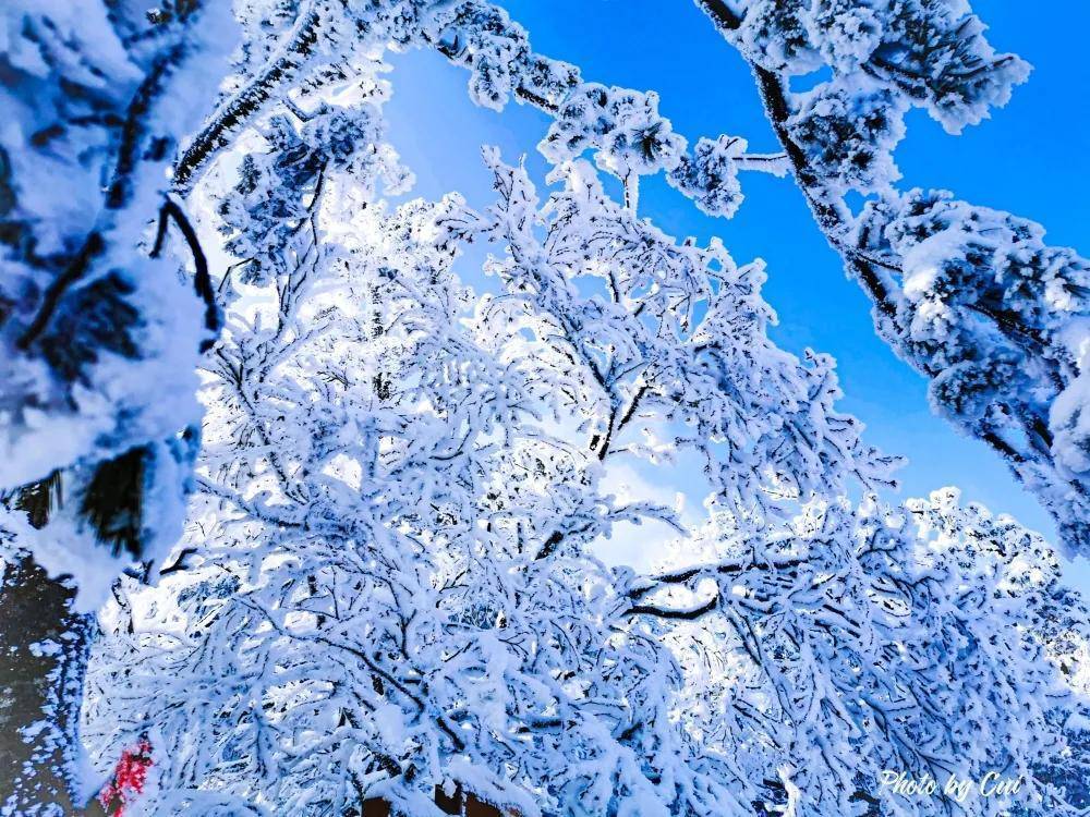 春节首选出游地！不出河南逛耍-10℃的冰雪王国，感受极致冬日美景！