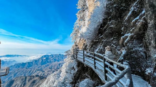 老君山：春雨贵如油，春雪值几何？