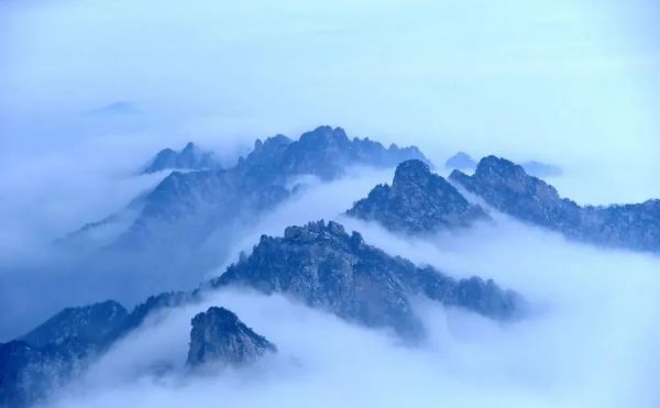 老君山：春雨贵如油，春雪值几何？