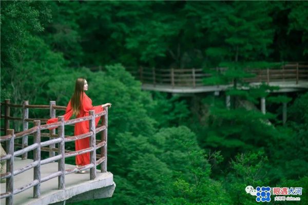 乌云遮不住太阳的升起　疫情挡不住老君山春天的来临