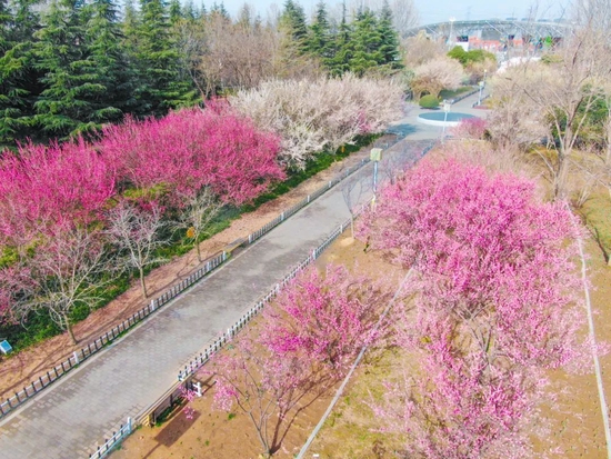 央视《花开中国》走进郑州绿博园