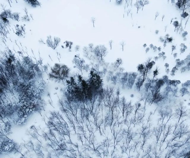 今日开园 ▏绿博园里的“雪色浪漫”