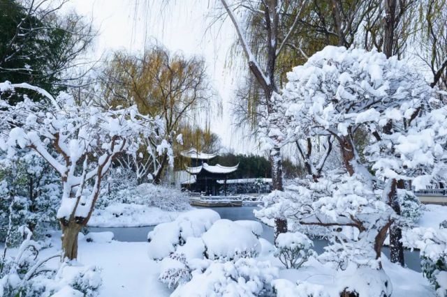 今日开园 ▏绿博园里的“雪色浪漫”