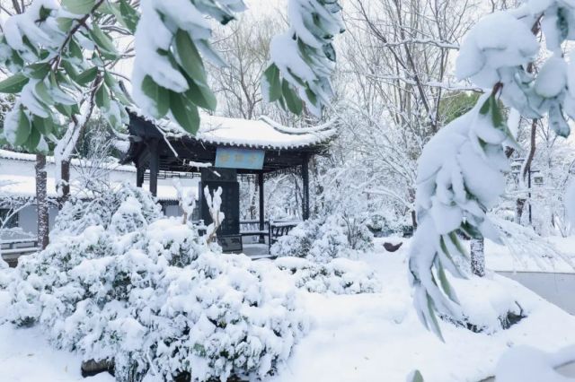 今日开园 ▏绿博园里的“雪色浪漫”