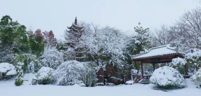 今日开园 ▏绿博园里的“雪色浪漫”