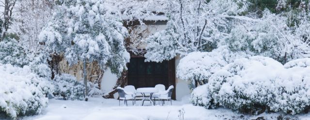 今日开园 ▏绿博园里的“雪色浪漫”