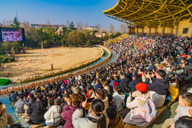 郑州银基旅游度假区：元旦假期市场火爆，游客共度欢乐时光