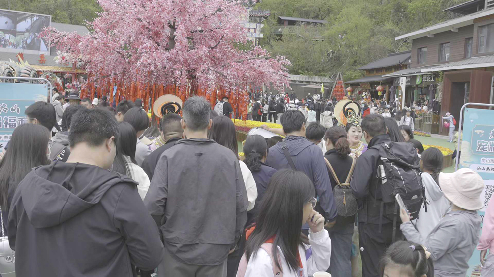 五一假期老君山景区为游客推出超便宜奶茶：一毛钱一杯