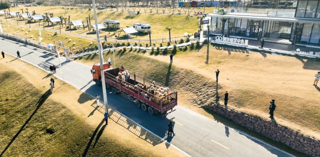 东天山骆驼队抵达黄河美岸·忆江南旅游度假区休整 豫疆文化交流盛典启幕 东天山骆驼队抵达黄河美岸·忆江南旅游度假区休整 豫疆文化交流盛典启幕