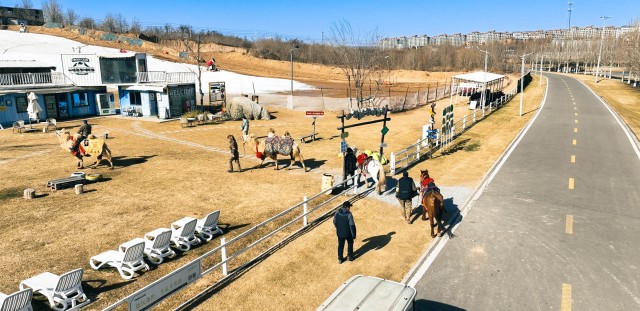 东天山骆驼队抵达黄河美岸·忆江南旅游度假区休整 豫疆文化交流盛典启幕 东天山骆驼队抵达黄河美岸·忆江南旅游度假区休整 豫疆文化交流盛典启幕